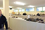 Concorso Picchiatelli 2014 (12 di 265)